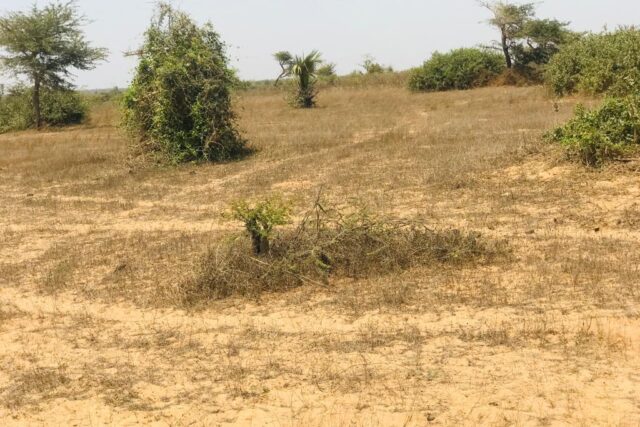 Terrain de 1,27 hectare vers Mont Rolland