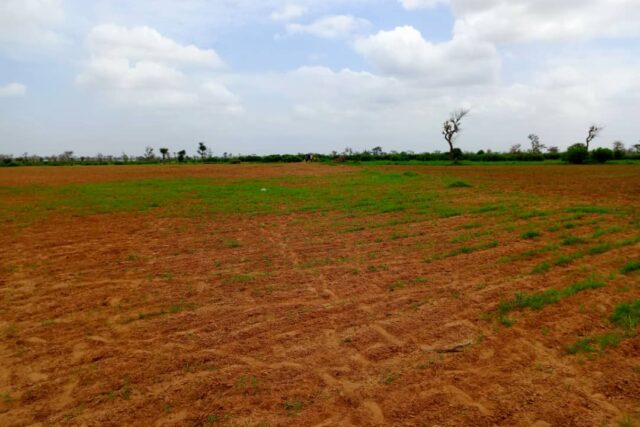 Terrain de 1,27 hectare vers Notto Diobass