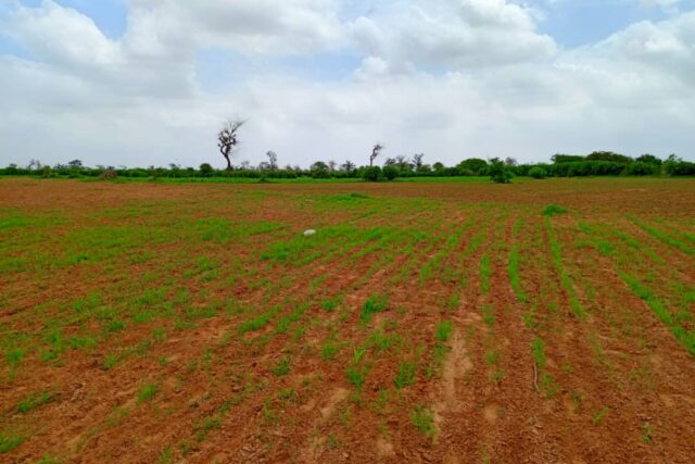 Terrain de 1,27 hectare vers Notto Diobass