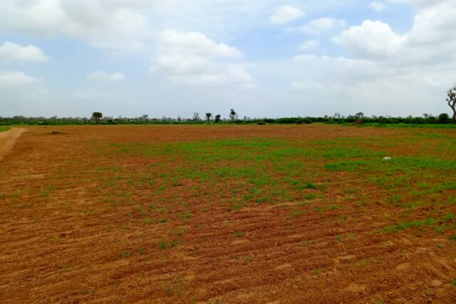 Terrain de 1,27 hectare vers Notto Diobass