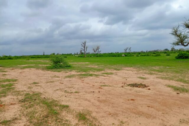 Terrain de 1,27 hectare vers Notto Diobass