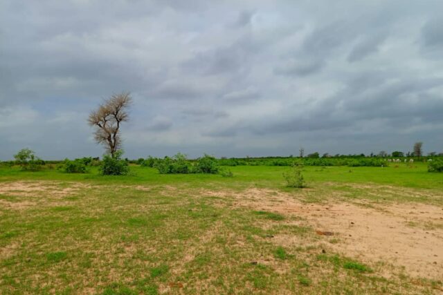 Terrain de 1,27 hectare vers Notto Diobass