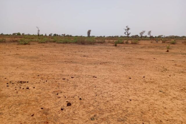 Terrain de 1,27 hectare vers Notto Diobass