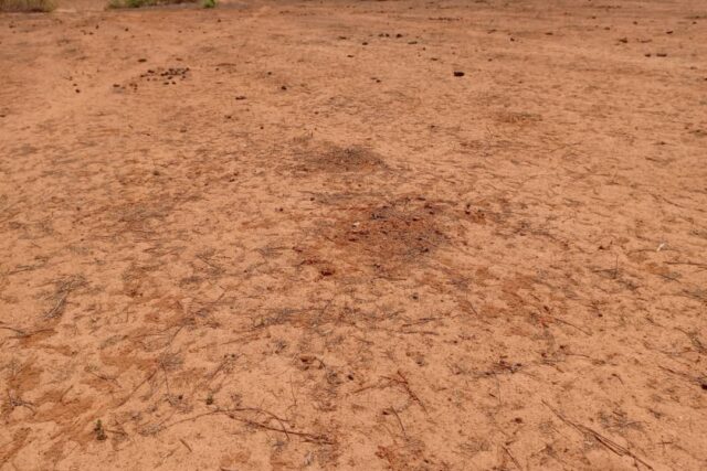 Terrain de 1,27 hectare vers Notto Diobass