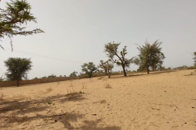 Terrain de 1,27 hectare vers Sindia