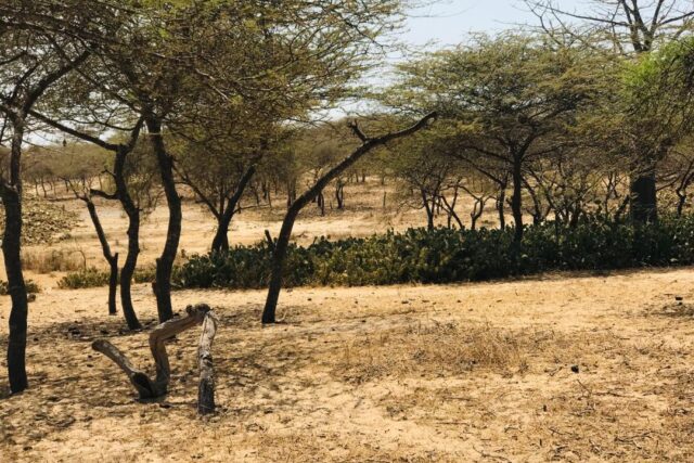 Terrain de 1,28 hectare vers Gandiol