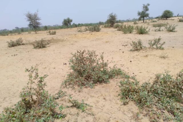 Terrain de 1,28 hectare vers Niakhar