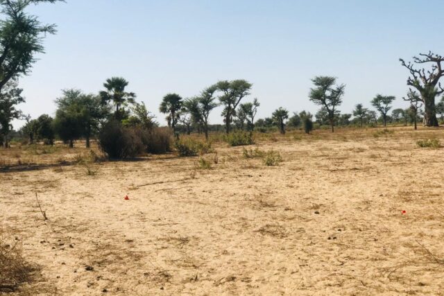 Terrain de 1,29 hectare vers Notto Diobass Terrain de 1,29 hectare vers Notto Diobass