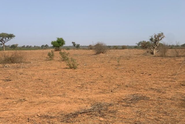 Terrain de 1,30 hectare vers Notto Diobass