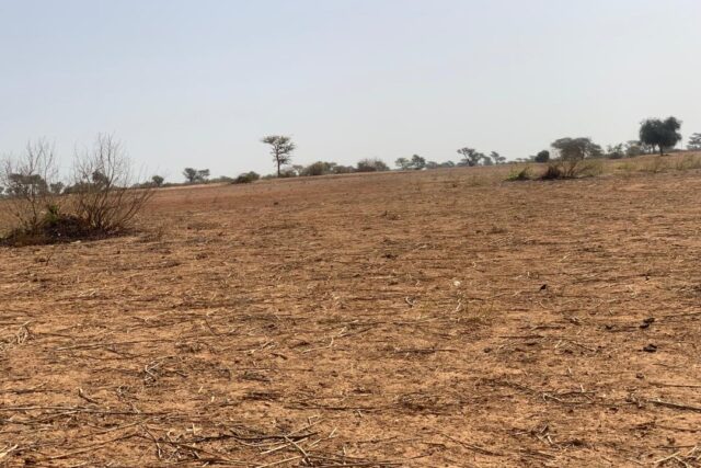 Terrain de 1,30 hectare vers Notto Diobass