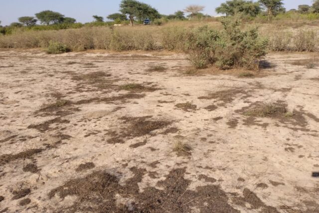 Terrain de 1,32 hectare vers Taïba Ndiaye Terrain de 1,32 hectare vers Taïba Ndiaye