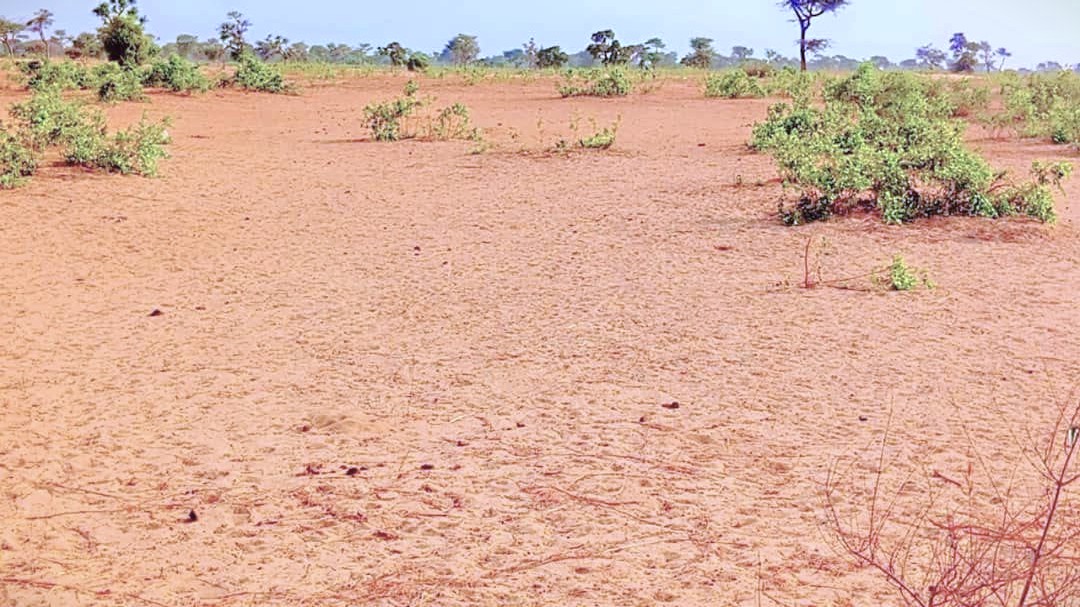 Terrain de 1,34 hectare à Ndiéyene Sirakh