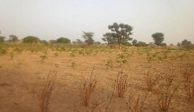 Terrain de 1,34 hectare vers Sindia Terrain de 1,34 hectare vers Sindia