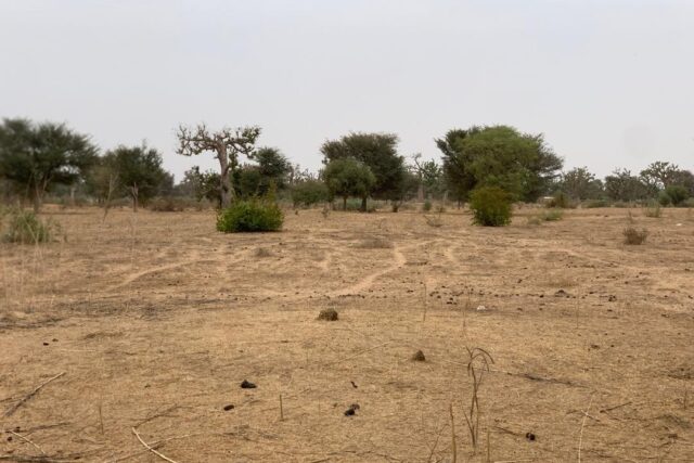 Terrain de 1,37 hectare vers Notto Diobass