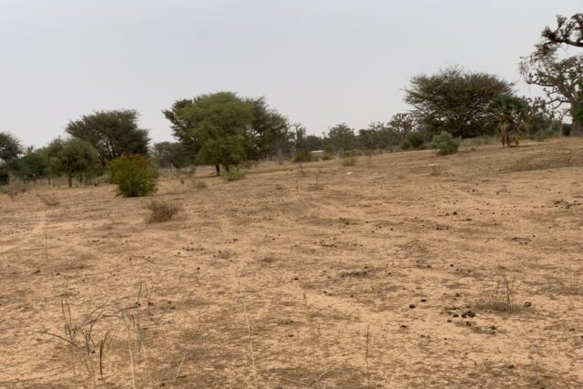 Terrain de 1,37 hectare vers Notto Diobass