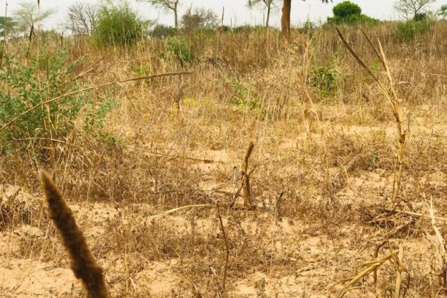 Terrain de 1,38 hectare vers Méouane