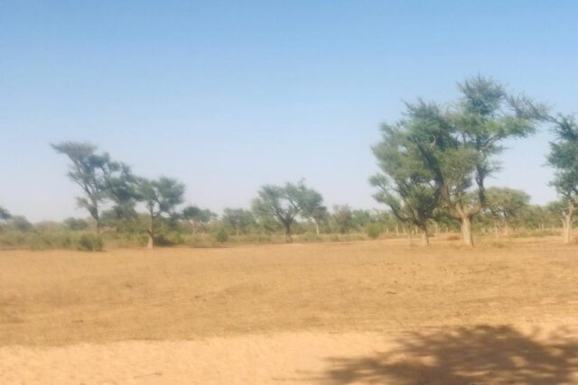 Terrain de 1,4 hectare Vers Notto Diobass Terrain de 1,4 hectare Vers Notto Diobass