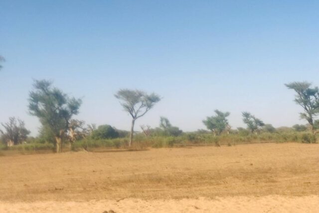 Terrain de 1,4 hectare Vers Notto Diobass