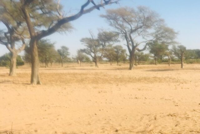 Terrain de 1,4 hectare Vers Notto Diobass