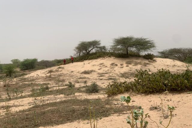 Terrain de 1,40 hectare vers Gandiol