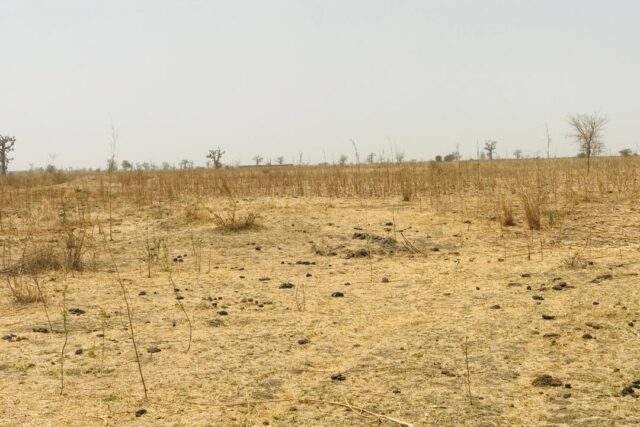 Terrain de 1,41 hectare vers Nguéniène