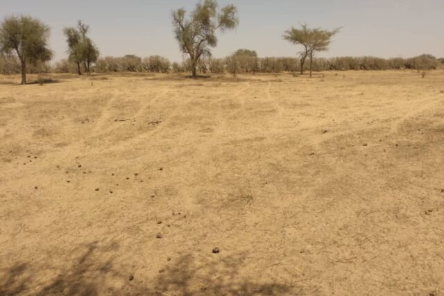 Terrain de 1,43 Hectare vers Sagata Terrain de 1,43 Hectare vers Sagata