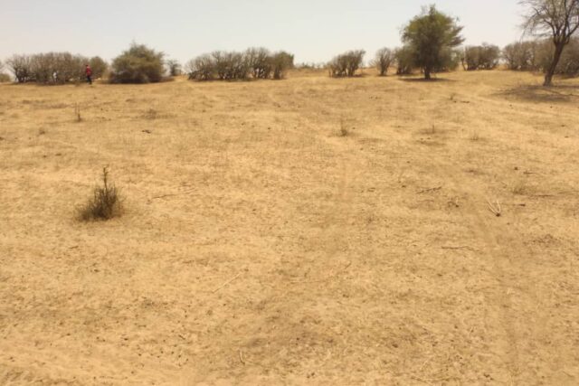 Terrain de 1,43 Hectare vers Sagata