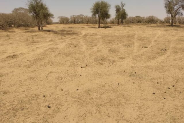 Terrain de 1,43 Hectare vers Sagata