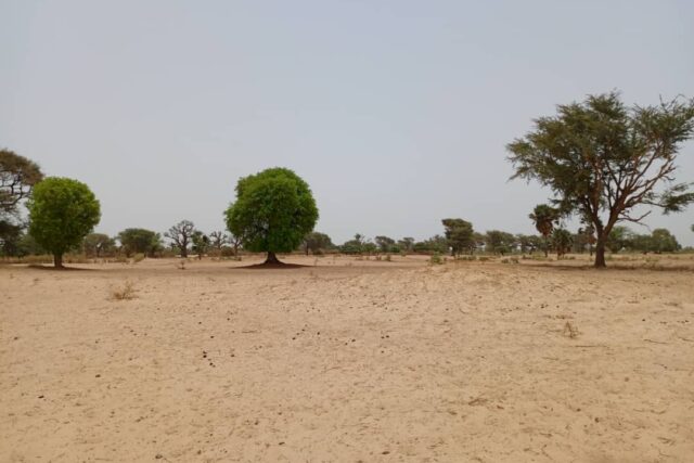 Terrain de 1,58 hectare vers Tassette Terrain de 1,58 hectare vers Tassette