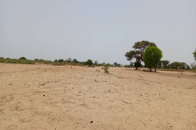 Terrain de 1,58 hectare vers Tassette