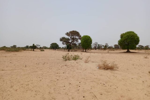 Terrain de 1,58 hectare vers Tassette