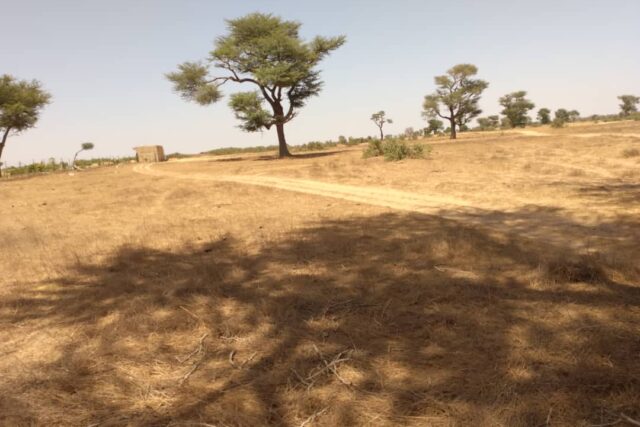 Terrain de 1,44 hectare à Tassette