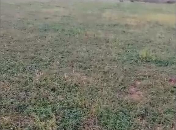 Terrain de 1,44 hectare vers Tataguine Terrain de 1,44 hectare vers Tataguine