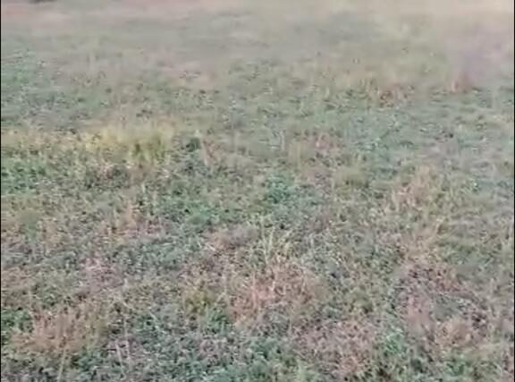 Terrain de 1,44 hectare vers Tataguine