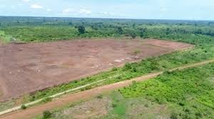 VENTE DE TERRAIN A BOUAKE ALLAKRO