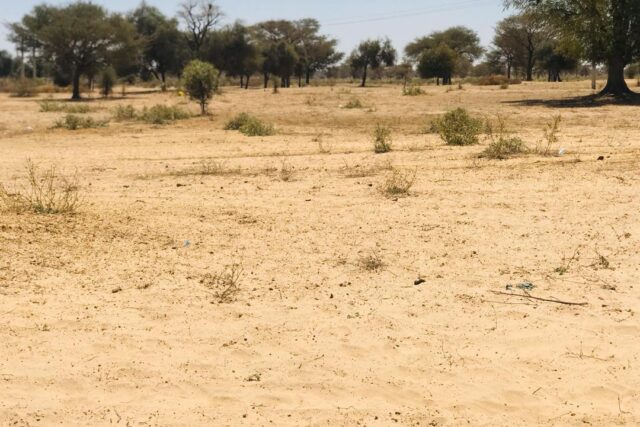 Terrain de 1,5 hectare Vers Ngoundiane