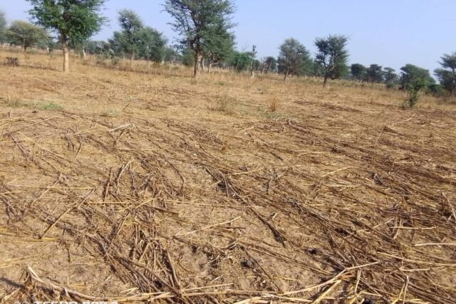 Terrain de 1,5 hectare vers Notto Diobass