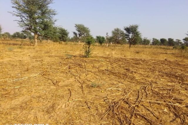 Terrain de 1,5 hectare vers Notto Diobass