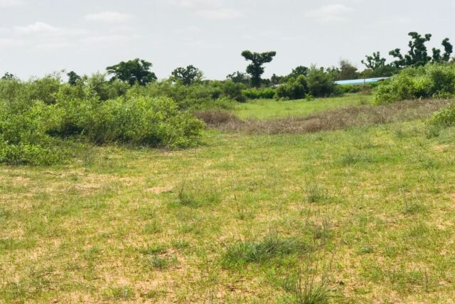 Terrain de 1,5 hectare vers Notto Diobass