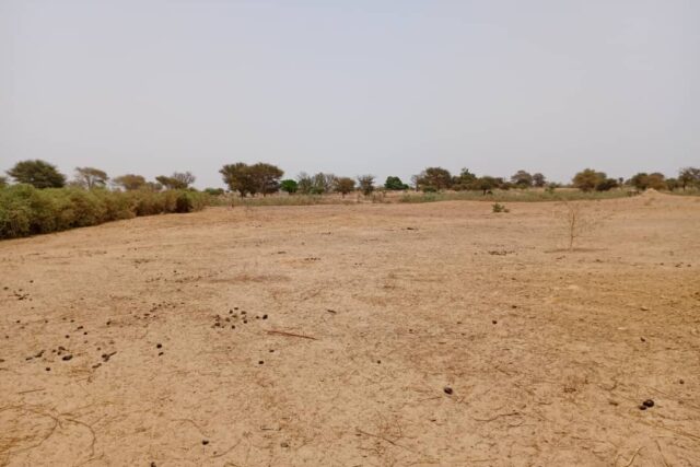 Terrain de 1,52 hectare vers Tassette Terrain de 1,52 hectare vers Tassette