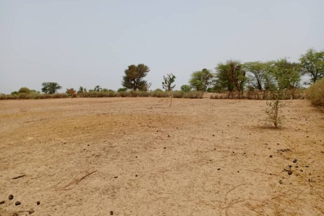 Terrain de 1,52 hectare vers Tassette