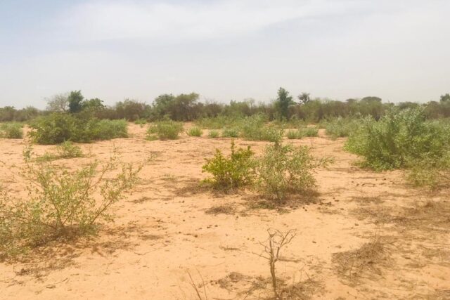 Terrain de 1,53 hectare vers Notto Diobass Terrain de 1,53 hectare vers Notto Diobass