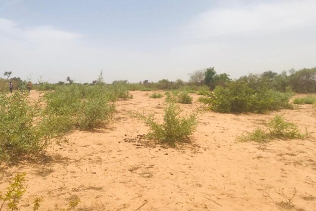 Terrain de 1,53 hectare vers Notto Diobass