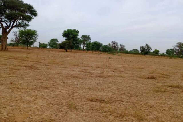 Terrain de 1,54 hectare vers Tassette Terrain de 1,54 hectare vers Tassette