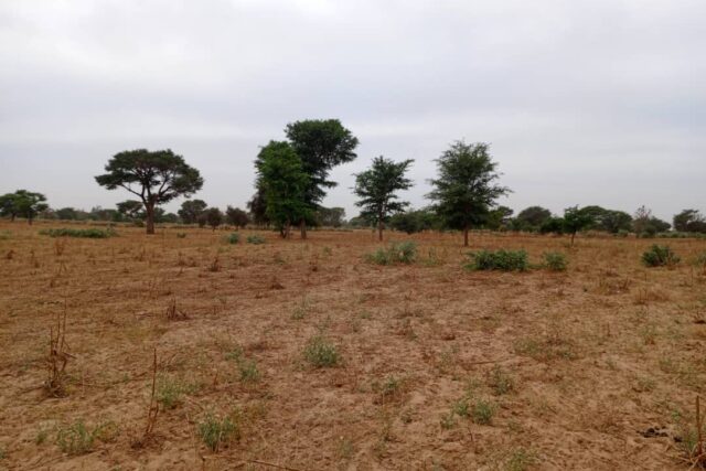 Terrain de 1,54 hectare vers Tassette