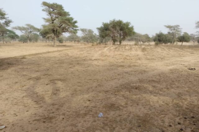 Terrain de 1,56 hectare vers Keur Samba Kane