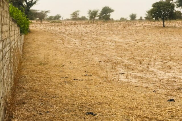 Terrain de 1,81 hectare vers Keur Samba Kane Terrain de 1,81 hectare vers Keur Samba Kane