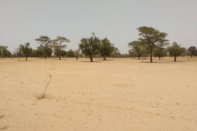 Terrain de 1,81 hectare vers Baba Garage