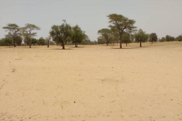 Terrain de 1,81 hectare vers Baba Garage