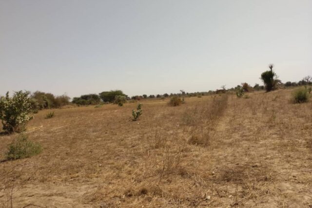 Terrain de 1,78 hectare vers Sandiara Terrain de 1,78 hectare vers Sandiara